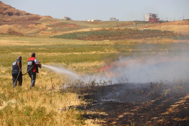 Siirt'te çıkan anız yangını saman balyalarına sıçramadan söndürüldü G5