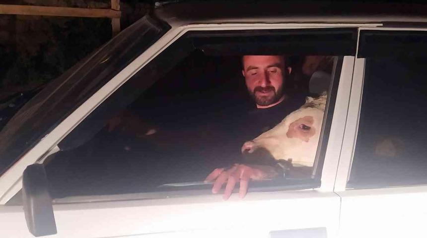 Gören bir kez daha bakıyor! Bunalıma girince aracına bindirip... "Morali bozuk ama idare edecek"