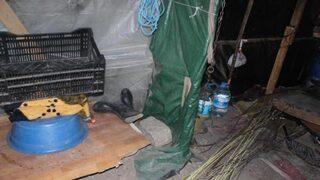 Yatalak hasta kadın barakada yaşamını yitirdi