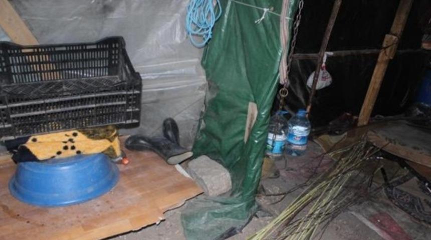 Yatalak hasta kadın barakada yaşamını yitirdi