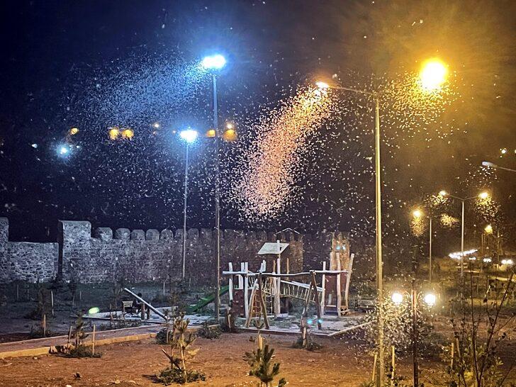 Ardahan'da vatandaşlar mayıs sineklerinin "ölüm uçuşunu" izledi G4