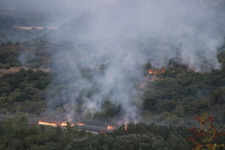Bulgaristan'da çıkan orman yangınında alevler Edirne'den görülebiliyor G4