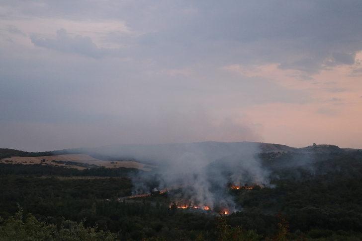 Bulgaristan'da çıkan orman yangınında alevler Edirne'den görülebiliyor G5