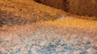 Milyonlarcası tarihi köprüyü istila etti! Kar gibi görünüyor