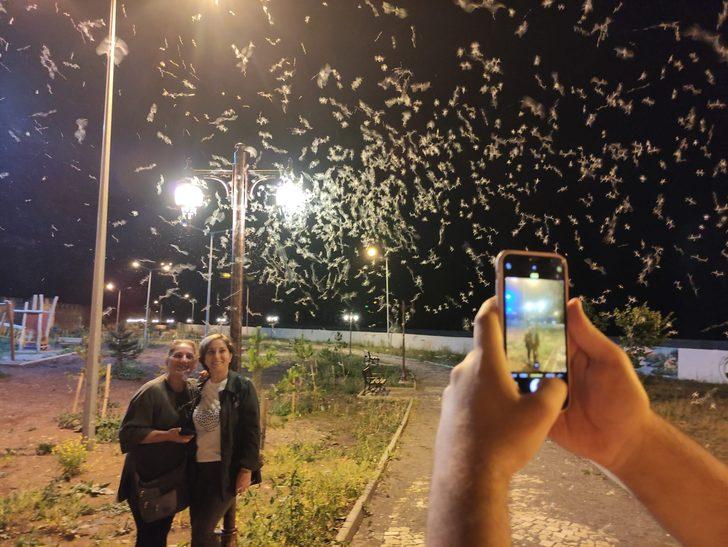 Milyonlarcası tarihi köprüyü istila etti! Kar gibi görünüyor G1
