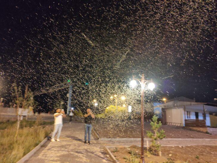Milyonlarcası tarihi köprüyü istila etti! Kar gibi görünüyor G5