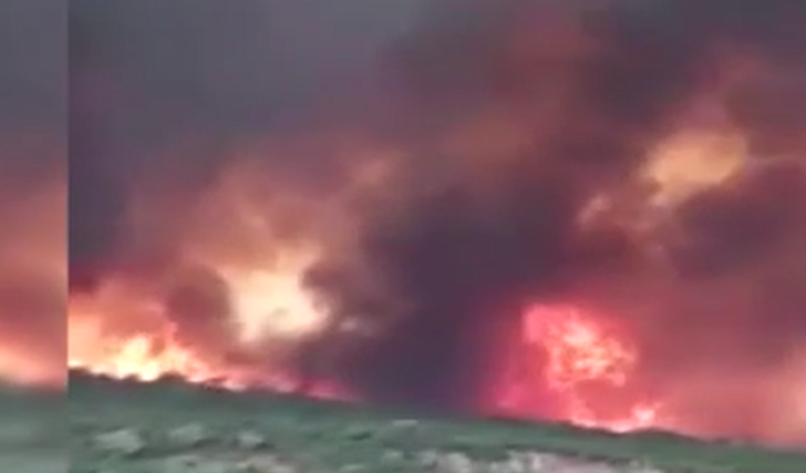 O ülke felaketi yaşıyor! Orman yangınlarında can kaybı 26 oldu G1