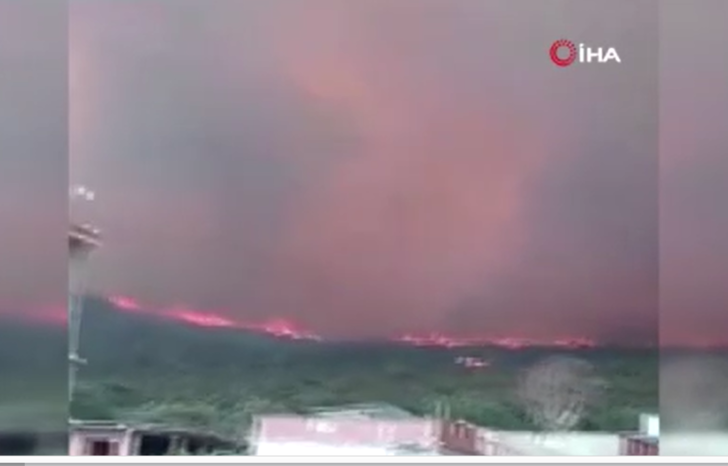 O ülke felaketi yaşıyor! Orman yangınlarında can kaybı 26 oldu G2