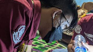 Cinsel organına taktığı seks oyuncağını itfaiyeciler çıkarmak zorunda kaldı