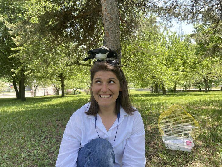 İyileştirdiği karga yalnız kalmasın diye mesaiye getiriyor G1