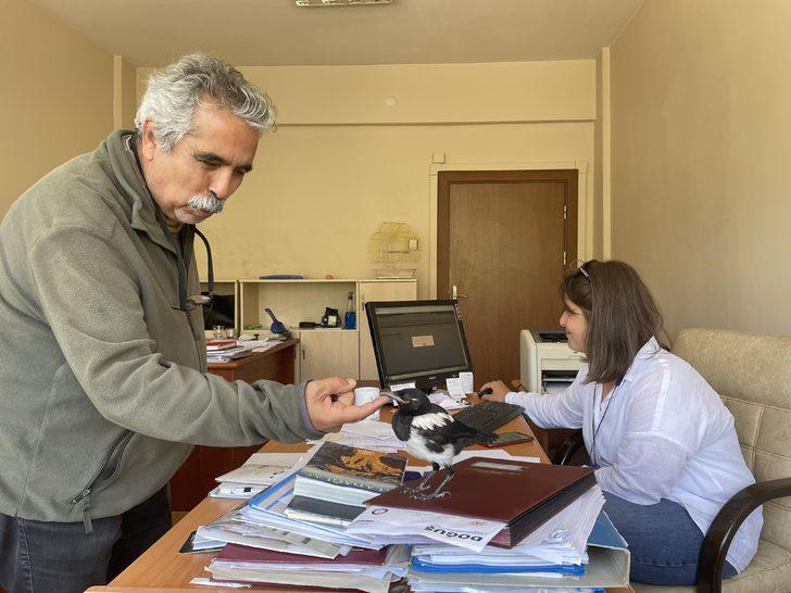 İyileştirdiği karga yalnız kalmasın diye mesaiye getiriyor G5