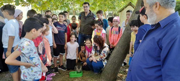 Düzce'de hayvansever çocuklar can dostlarını unutmadı G2