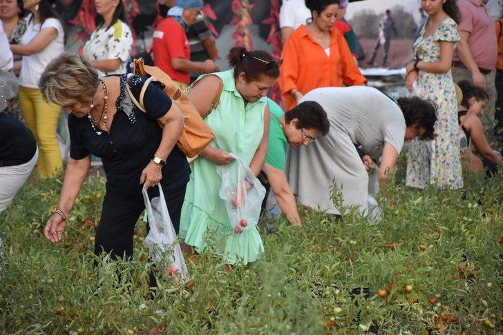 Muğla'da hasat şenliği yapıldı G1