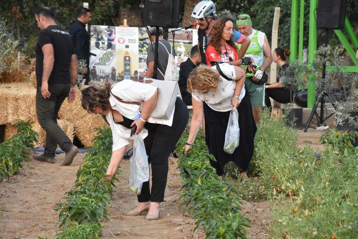 Muğla'da hasat şenliği yapıldı G2