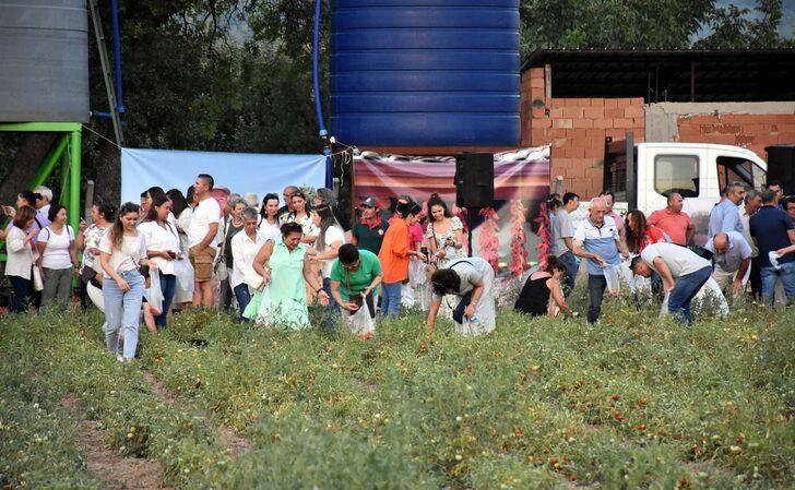 Muğla'da hasat şenliği yapıldı G4