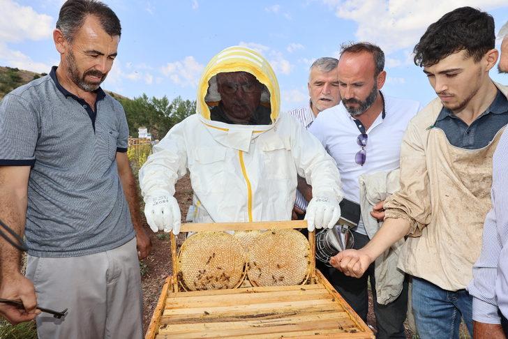 Bal hasadının başladığı Sivas'ta 7 bin ton rekolte bekleniyor G1
