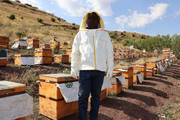 Bal hasadının başladığı Sivas'ta 7 bin ton rekolte bekleniyor G4