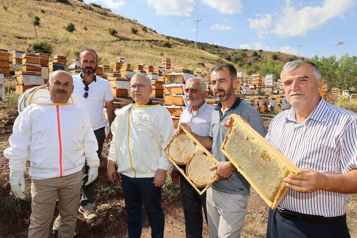 Bal hasadının başladığı Sivas'ta 7 bin ton rekolte bekleniyor G5