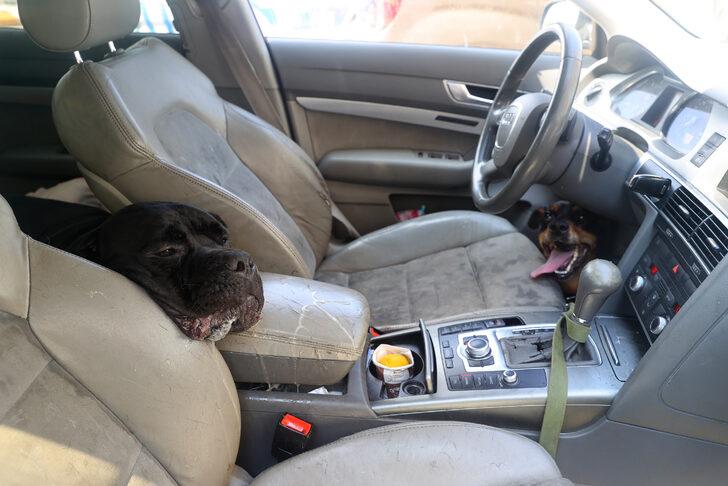 Edirne'de Ukraynalı çiftin araçta bıraktığı köpek havasızlıktan telef oldu G2