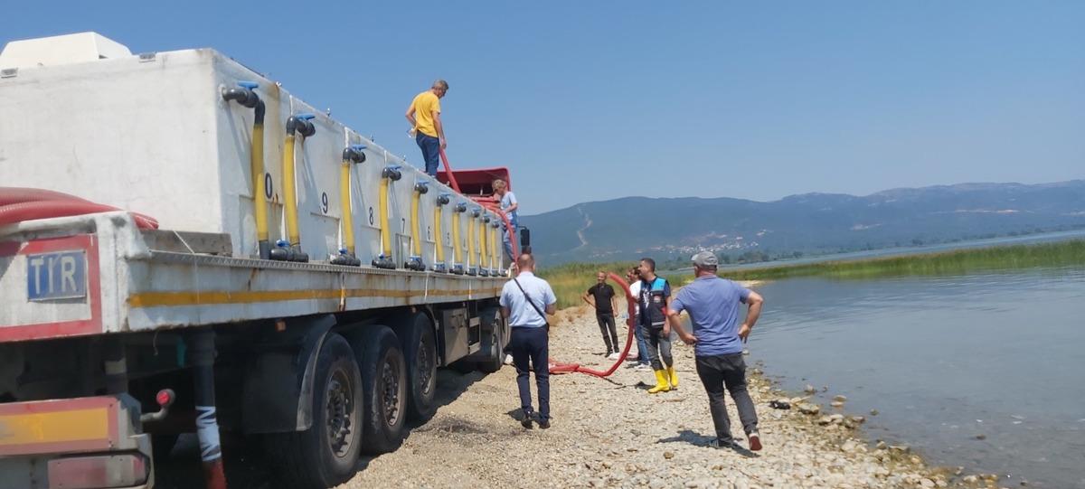 Bursa'daki g&ouml;l ve g&ouml;letlere 2,5 milyon sazan yavrusu bırakıldı