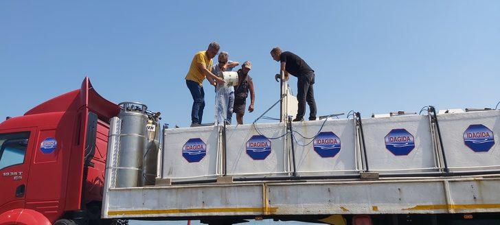 Bursa'daki göl ve göletlere 2,5 milyon sazan yavrusu bırakıldı G2