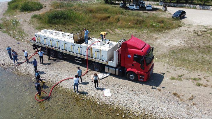 Bursa'daki göl ve göletlere 2,5 milyon sazan yavrusu bırakıldı G3