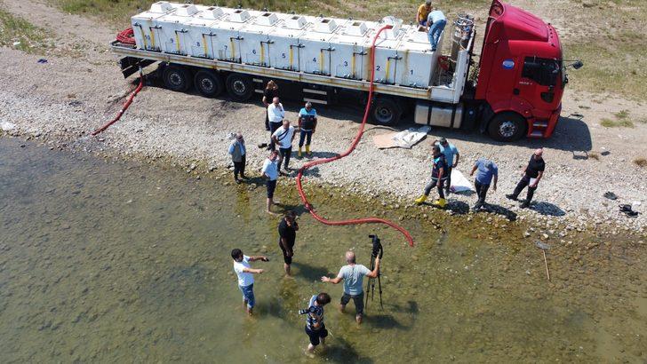 Bursa'daki göl ve göletlere 2,5 milyon sazan yavrusu bırakıldı G5