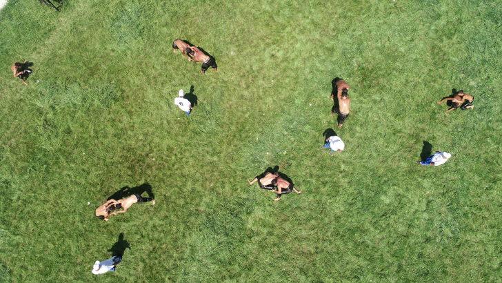 Geleneksel 13. Kepsut Yağlı Güreşleri G2