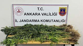 Ankara'da uyuşturucu operasyonlarında 6 kişi gözaltına alındı