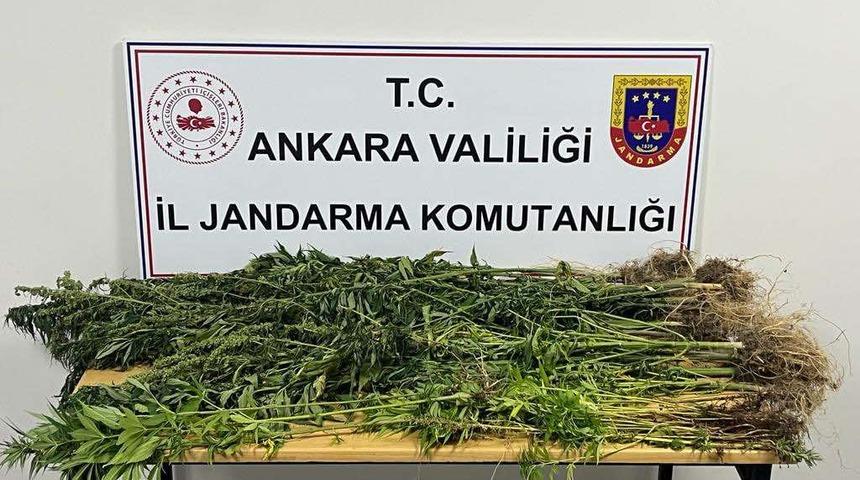 Ankara'da uyuşturucu operasyonlarında 6 kişi gözaltına alındı