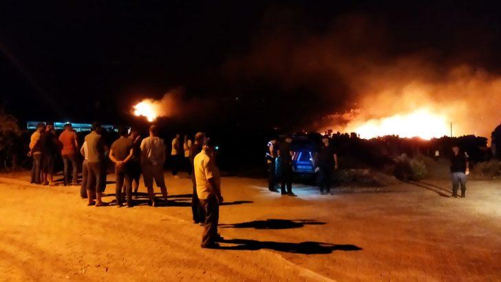 GÜNCELLEME - Aydın'da ormanlık ve zeytinlik alanda çıkan yangına müdahale ediliyor G3