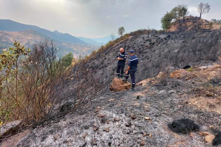 Cezayir'deki orman yangınlarında can kaybı sayısı artıyor! Başbakan açıkladı: Ölenlerin çoğu tatilci