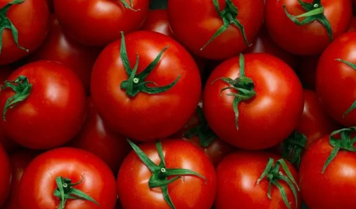 Damar tıkanıkları için birebir besinler G1