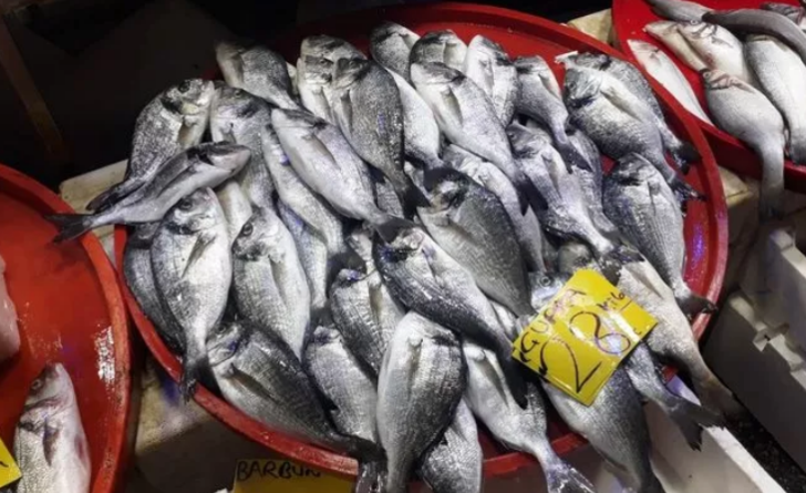 Damar tıkanıkları için birebir besinler G3