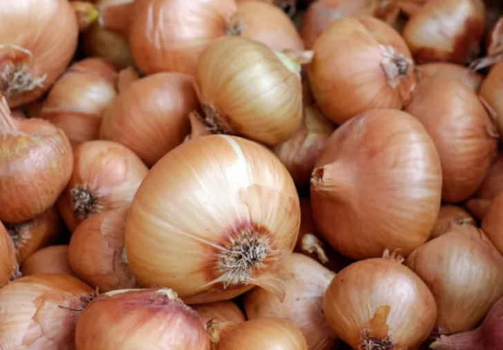 Damar tıkanıkları için birebir besinler G4