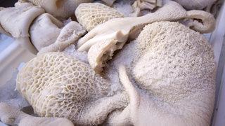 Anadolu’da sofralardan eksik olmuyor: Adeta şifa deposu