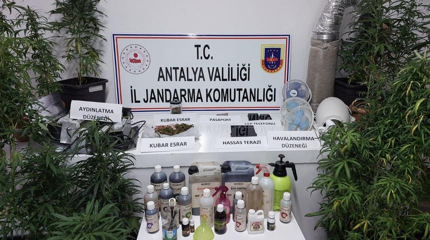 Antalya'da uyuşturucu operasyonunda bir kişi yakalandı