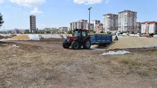 Buğday rekoltesinin arttığı Sivas'ta belediye arazisi TMO'nun kullanımına açıldı