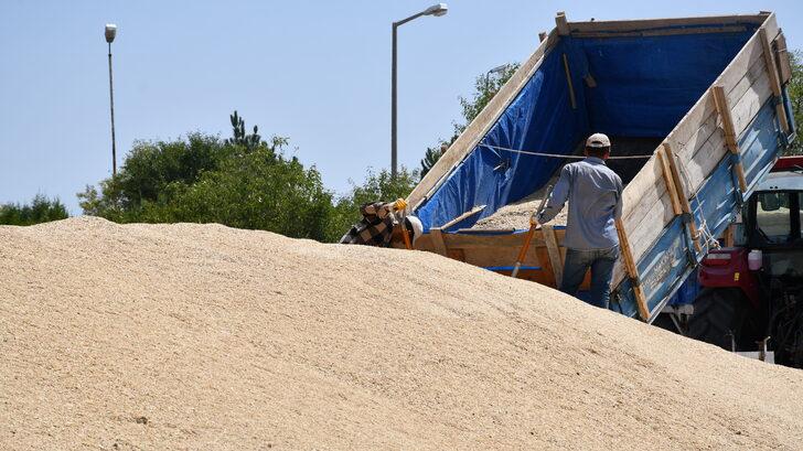 Buğday rekoltesinin arttığı Sivas'ta belediye arazisi TMO'nun kullanımına açıldı G4