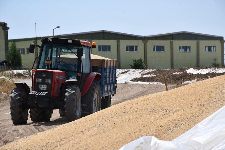Buğday rekoltesinin arttığı Sivas'ta belediye arazisi TMO'nun kullanımına açıldı G5