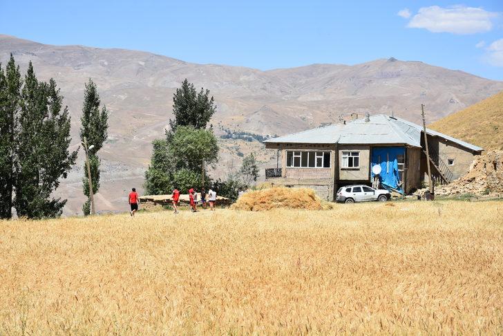 Hakkarili güreşçiler, kamp kurdukları 2 bin 500 rakımlı mezrada müsabakalara hazırlanıyor G1