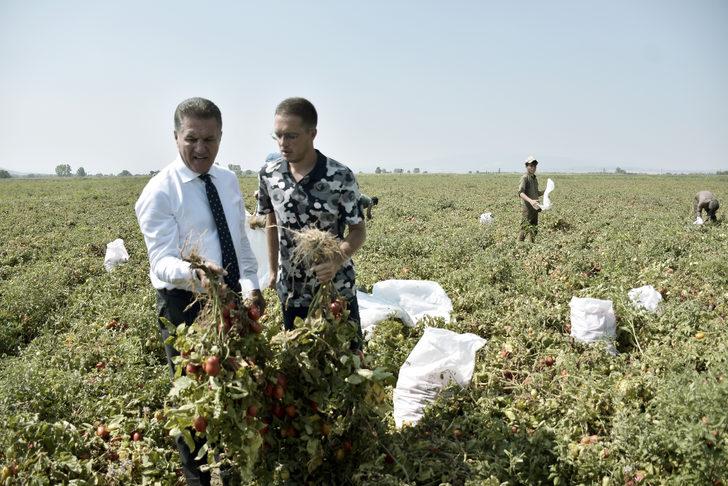 TDP Genel Başkanı Sarıgül, Karacabey'de domates üreticileriyle bir araya geldi: G1