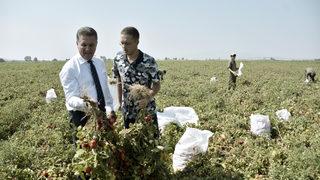 TDP Genel Başkanı Sarıgül, Karacabey'de domates üreticileriyle bir araya geldi: