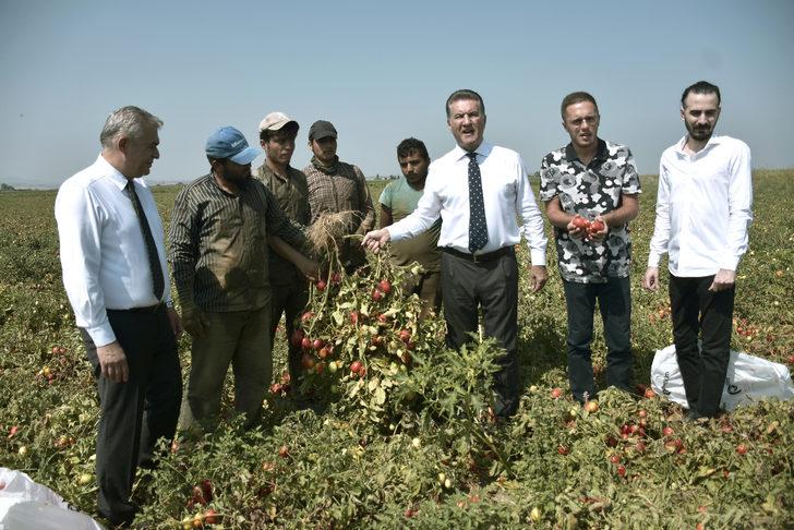 TDP Genel Başkanı Sarıgül, Karacabey'de domates üreticileriyle bir araya geldi: G2
