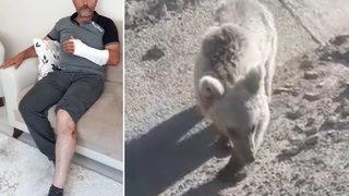 Öldüğünü zannettiği ayının saldırısına uğradı, canını zor kurtardı! 'Normalde insanlar ayıyı görünce ölü taklidi yapar...'