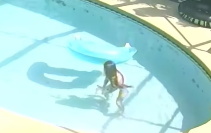 Acımadan köpeğini havuzda boğarak öldürdü! Cansız bedeninin yanına uzanıp bir de poz verdi G4