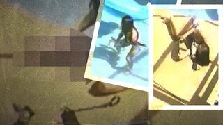 Acımadan köpeğini havuzda boğarak öldürdü! Cansız bedeninin yanına uzanıp bir de poz verdi