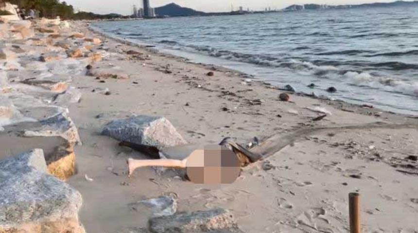 Kıyıya vuran ölmüş kadın cesedi zannettiler! Şişme bebek çıkınca büyük şok yaşadılar