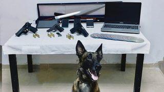 Bodrum'da firari hükümlü yakalandı