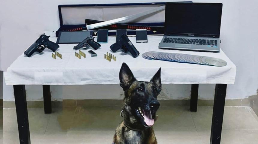 Bodrum'da firari hükümlü yakalandı